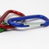 Picture of Help Smokey Prevent Wildfires Carabiners