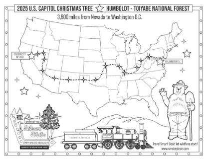 Picture of 2025 Capitol Christmas Tree Coloring Sheet #2